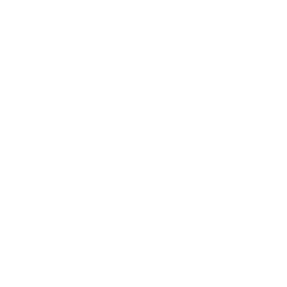 Falcon Surface Logo